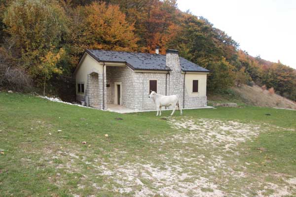 rifugio_cannuine.jpg